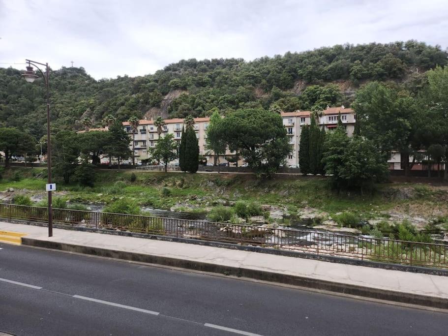 Residence Centrale Appartement 3 Pieces Garage Et Jardin Amélie-les-Bains-Palalda Екстериор снимка